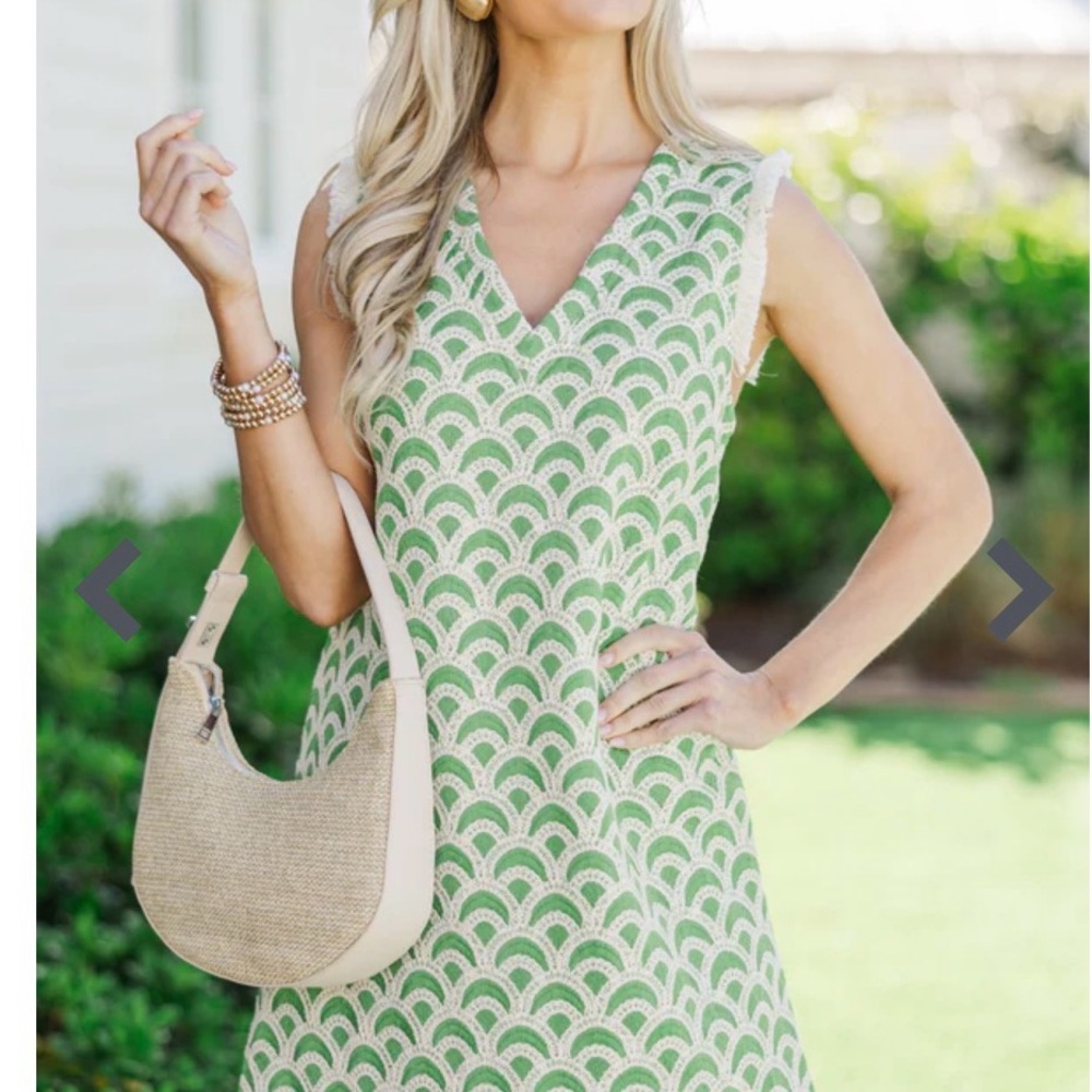 The Horizon Green and White Embroidered Sleeveless V-Neck Shift Dress - Picture 3 of 13